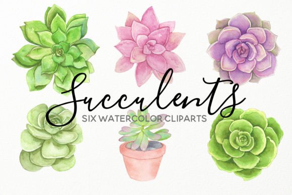 Download Water Succulents Hand Painted Cliparts - Paint Collection
